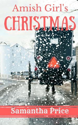 Book cover of Amish Girl's Christmas