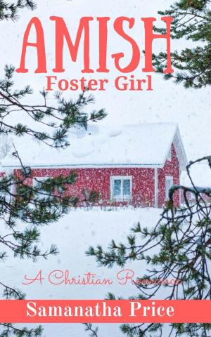 bigCover of the book Amish Foster Girl by 