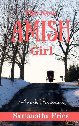 Book cover of The New Amish Girl