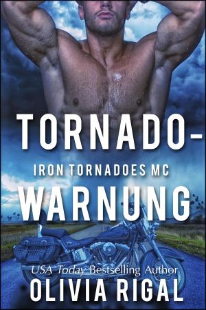 Book cover of Tornadowarnung Iron Tornadoes