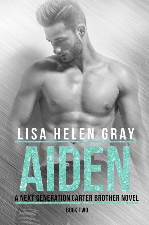Cover of the book Aiden by Wynter Daniels