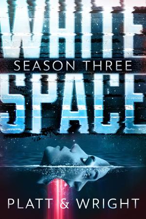 Cover of the book WhiteSpace: Season Three by Johnny B. Truant