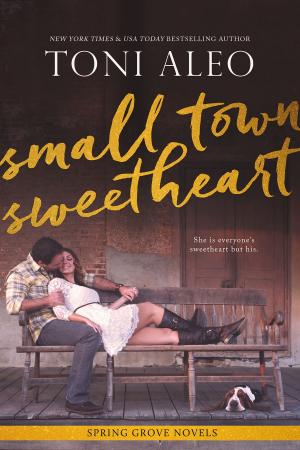 Cover of the book Small-Town Sweetheart by Toni Aleo