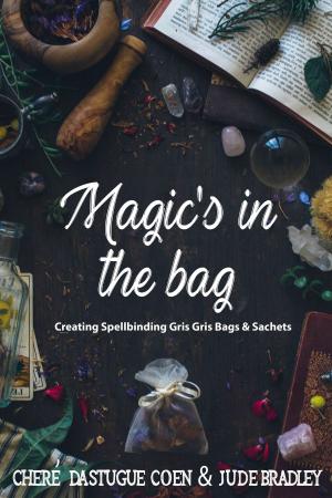 Cover of Magic's in the Bag
