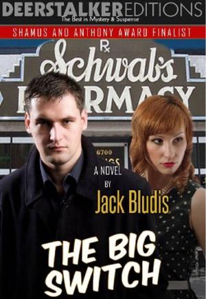 Cover of the book THE BIG SWITCH by Christina Rhys