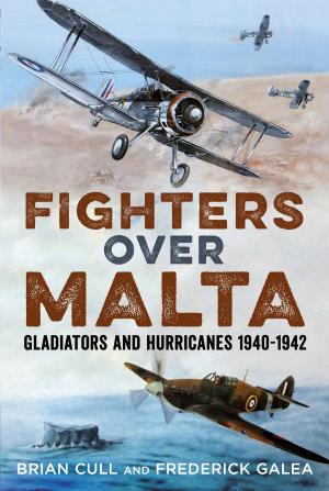 Book cover of Fighters over Malta