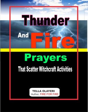 Cover of Thunder and Fire Prayers that Scatter Witchcraft Activities