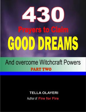Cover of the book 430 Prayers to Claim Good Dreams and Overcome Witchcraft Powers part two by Tella Olayeri