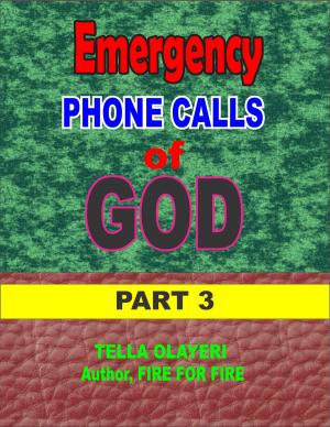 Cover of the book Emergency Phone Calls of God part three by Tella Olayeri