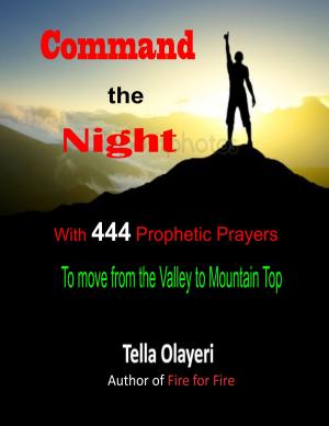 Cover of the book Command the Night With 444 Prophetic Prayers to move from the Valley to Mountain Top by Angela Kaelin