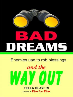 bigCover of the book BAD DREAMS Enemies use to rob blessing and the way out part one by 