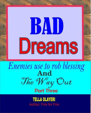Cover of the book BAD DREAMS Enemies use to rob blessing and the way out part three by Tella Olayeri