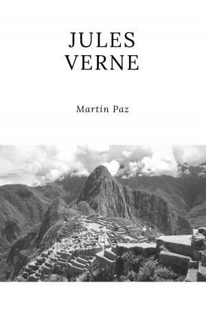 Cover of the book Martín Paz by Jules Verne