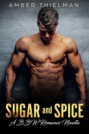 Book cover of A Touch in the Dark: Sugar and Spice