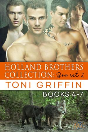 Cover of the book Holland Brothers Collection by B.L. Johns