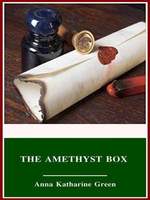 Cover of the book The Amethyst Box by Ruth Plumly Thompson