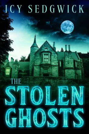 Cover of the book The Stolen Ghosts by LM Foster