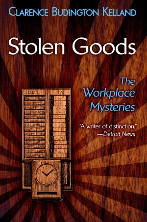 Cover of the book Stolen Goods by Todd Allen, Scott Beaderstadt