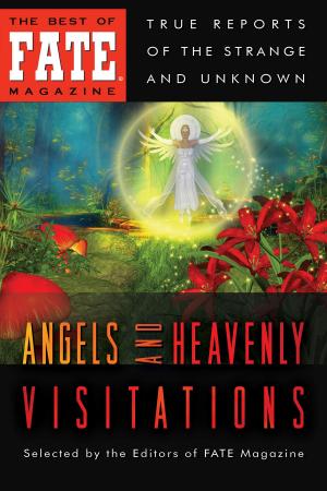 Book cover of Angels and Heavenly Visitations