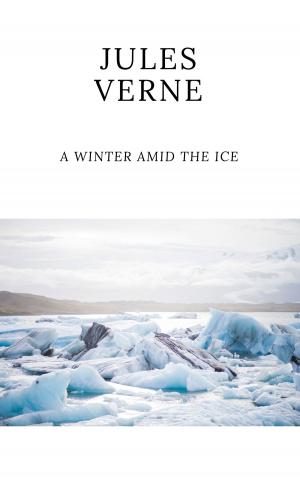 Cover of the book A winter amid the ice by Jules Verne