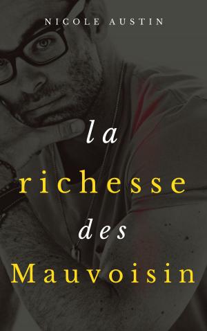 Book cover of La richesse des Mauvoisin
