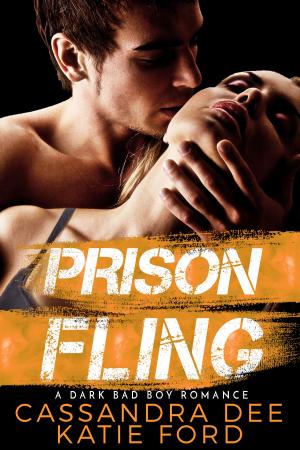 bigCover of the book Prison Fling by 