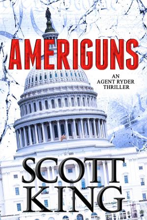 Cover of the book Ameriguns by Connie May Fowler