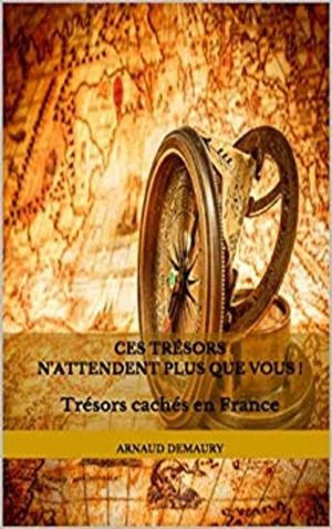 Cover of Ces trésors n'attendent plus que vous !