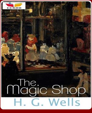 Cover of the book The Magic Shop by Douglas Milewski