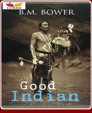 Cover of the book Good Indian by Guy Worthey