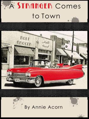 Cover of the book A Stranger Comes to Town by Peggy Teel