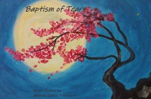 Cover of the book Baptism of Tears by Deborah Corrado