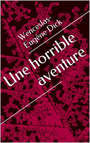 Cover of the book Une horrible aventure by Ernst Theodor Amadeus Hoffmann