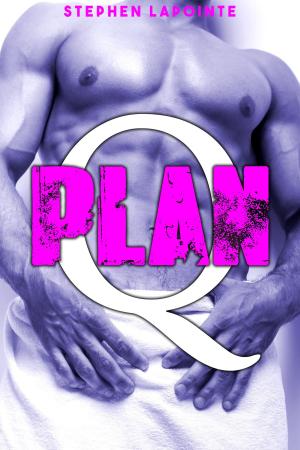 Cover of the book Plan Q by Regina Tittel