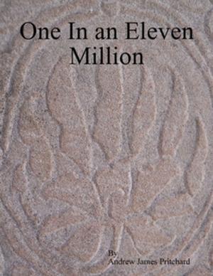 bigCover of the book One In An Eleven Million by 