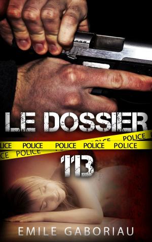 bigCover of the book Le dossier 113 by 
