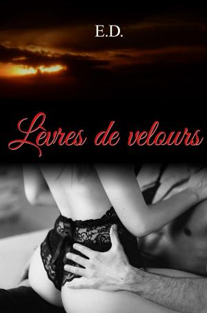 Cover of the book Lèvres de velours by Rebecca Lee