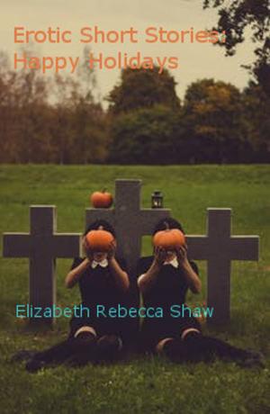 Cover of the book Erotic Short Stories: Happy Holidays by Rebeckah Markham