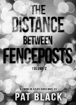 Cover of the book The Distance Between Fenceposts by Abbe Alexander