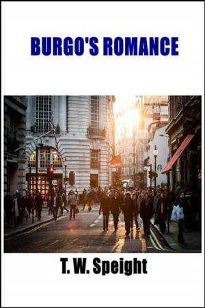 Cover of the book Burgo's Romance by Lee Hidell