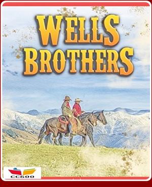 bigCover of the book Wells Brothers by 