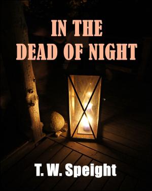 Cover of the book In The Dead of Night by Patrick MacGill