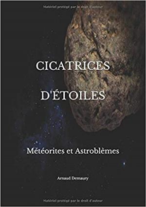 Book cover of CICATRICES D'ÉTOILES