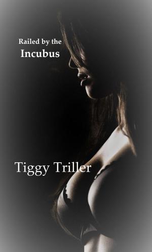 Cover of the book Railed by the Incubus by Veronica Del Rosa