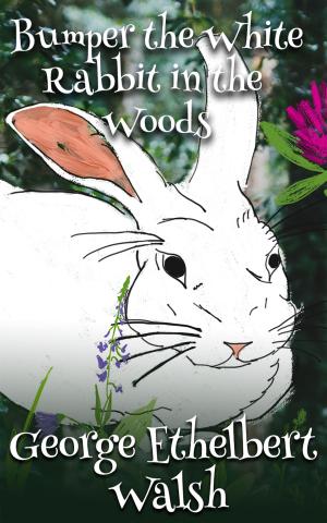 Cover of the book Bumper The White Rabbit In The Woods by Warwick Deeping