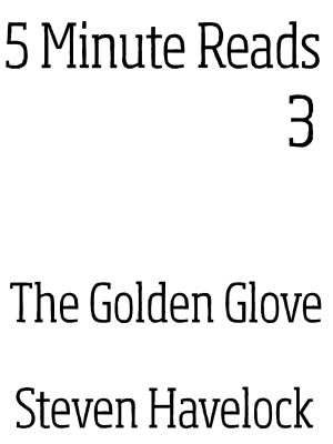 Cover of the book The Golden Glove by Lynn Thompson