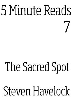Cover of The Sacred Spot