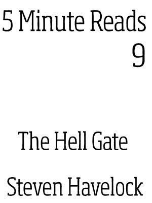 bigCover of the book The Hell Gate by 