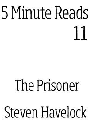 Cover of the book The Prisoner by Daniel Ferguson