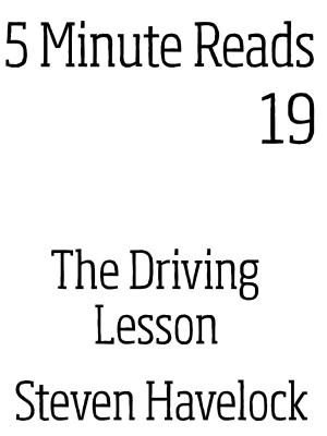 Cover of the book The Driving Lesson by Robert McDermott